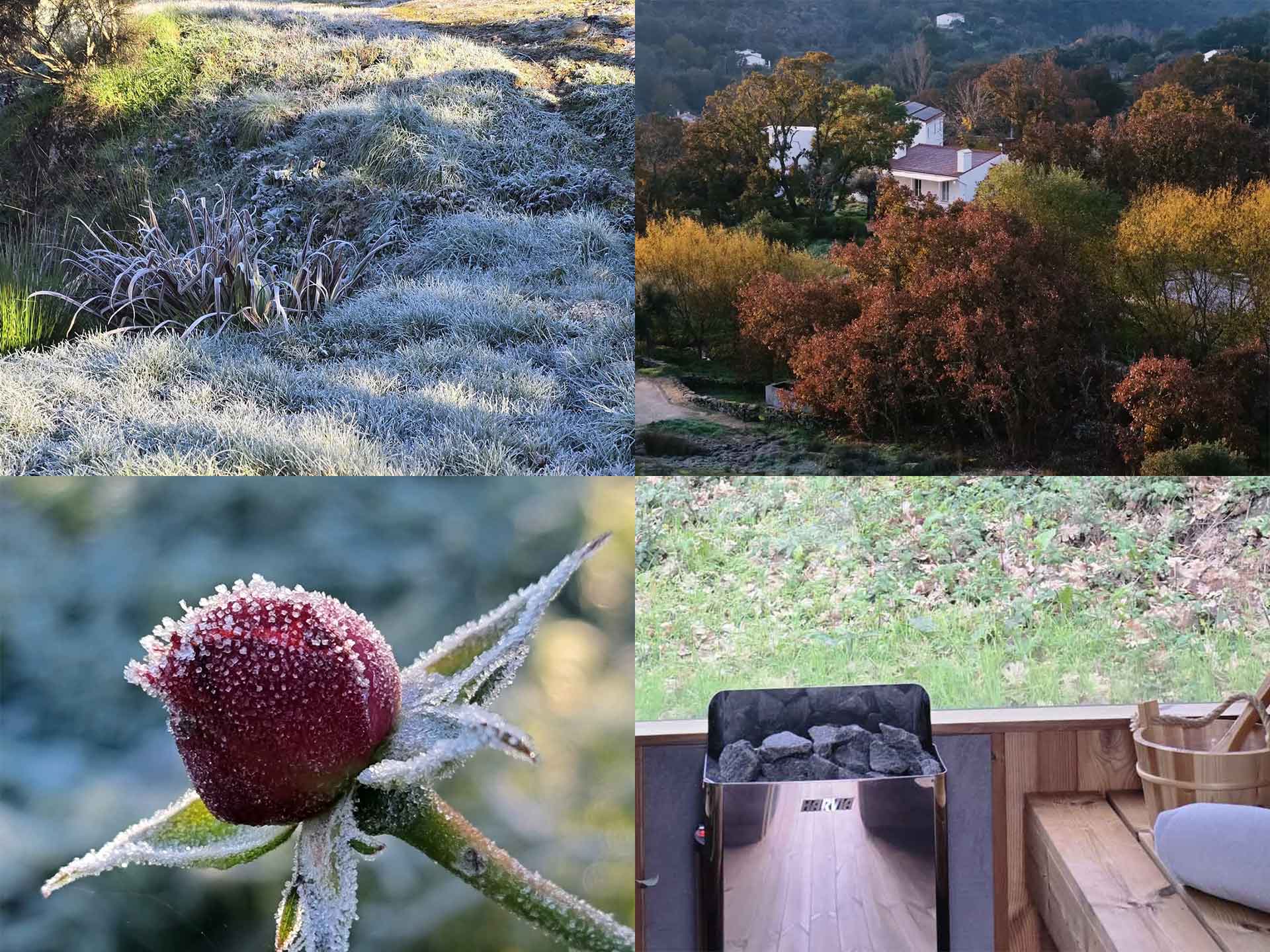 Four images of a frosty morning: frozen grass, the houses in autumn colour, ice on a thistle head, and the sauna stove